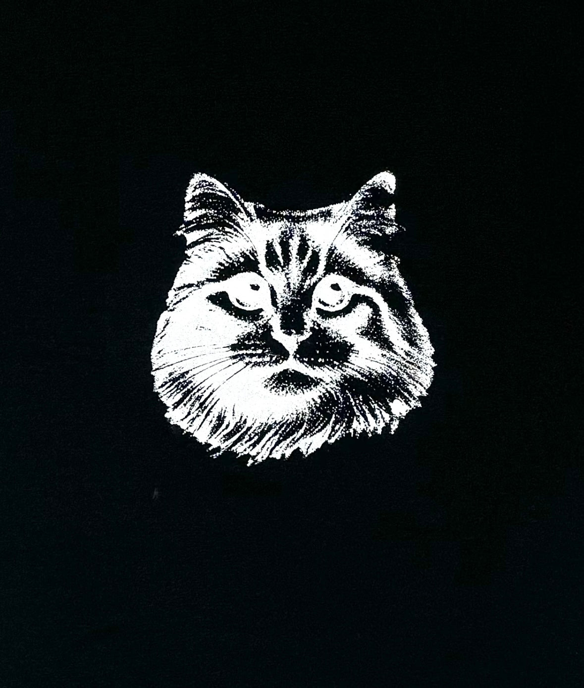 POWER CAT CREWNECK